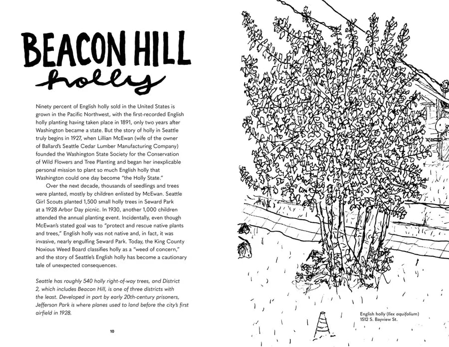 Street Trees of Seattle US - Paperback / softback