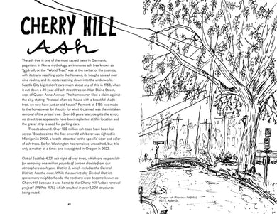 Street Trees of Seattle US - Paperback / softback