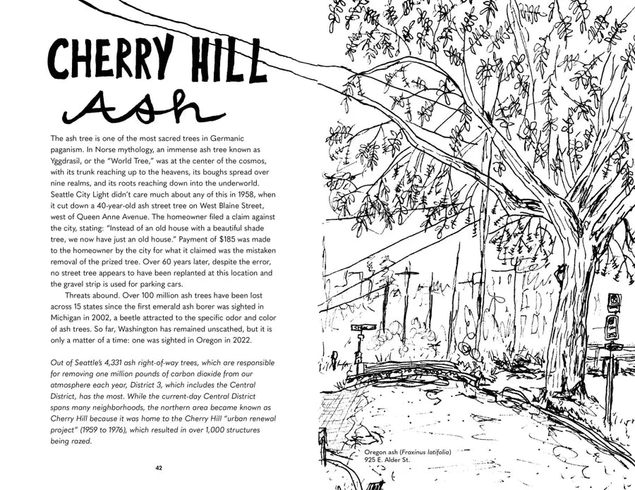 Street Trees of Seattle US - Paperback / softback