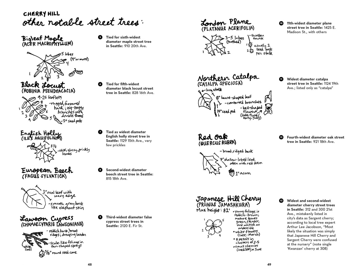 Street Trees of Seattle US - Paperback / softback