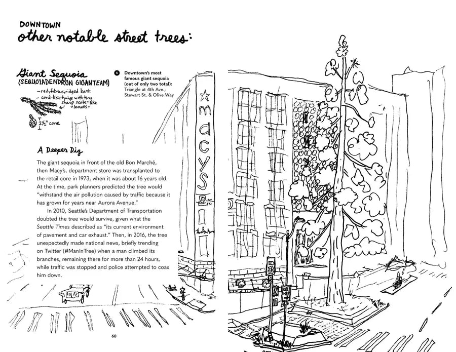 Street Trees of Seattle US - Paperback / softback