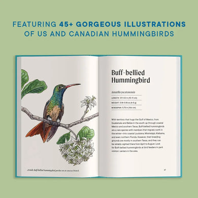 A Little Book of Hummingbirds US - Hardback