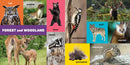 My First 100 Pacific Northwest Animals US - Board book