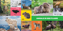 My First 100 Pacific Northwest Animals US - Board book