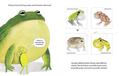 Nobody Likes Frogs US - Paperback / softback