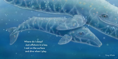 Where Do I Sleep? US - Board book (9781632175311)