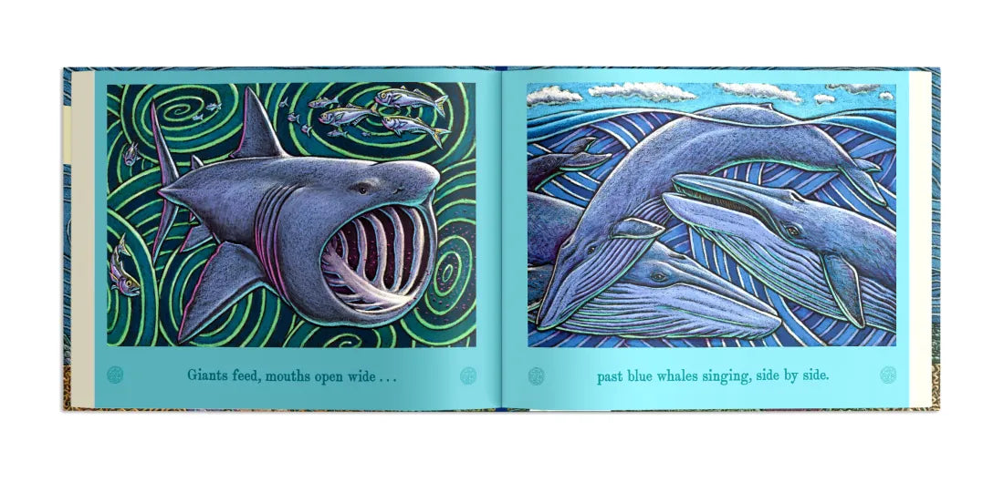 On An Ocean Journey US - Hardback