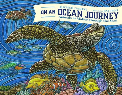 On An Ocean Journey