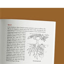 Growing Vegetables in Drought, Desert, and Dry Times, 10th Anniversary Edition US - Paperback / softback