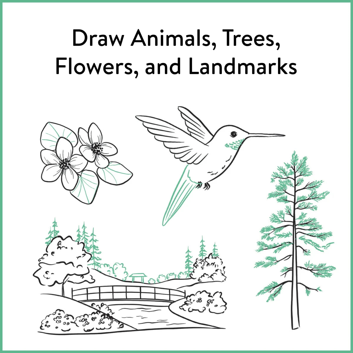 Pacific Northwest Line Drawing US - Paperback / softback