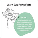 Pacific Northwest Line Drawing US - Paperback / softback