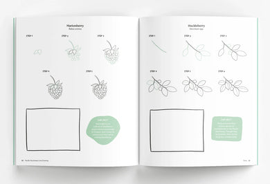 Pacific Northwest Line Drawing US - Paperback / softback