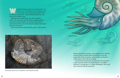 A Dinosaur for Washington US - Paperback / softback