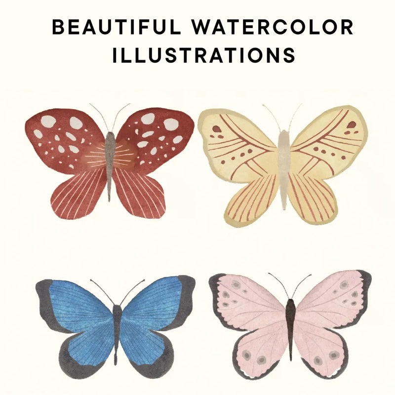 Shibui US - Hardback