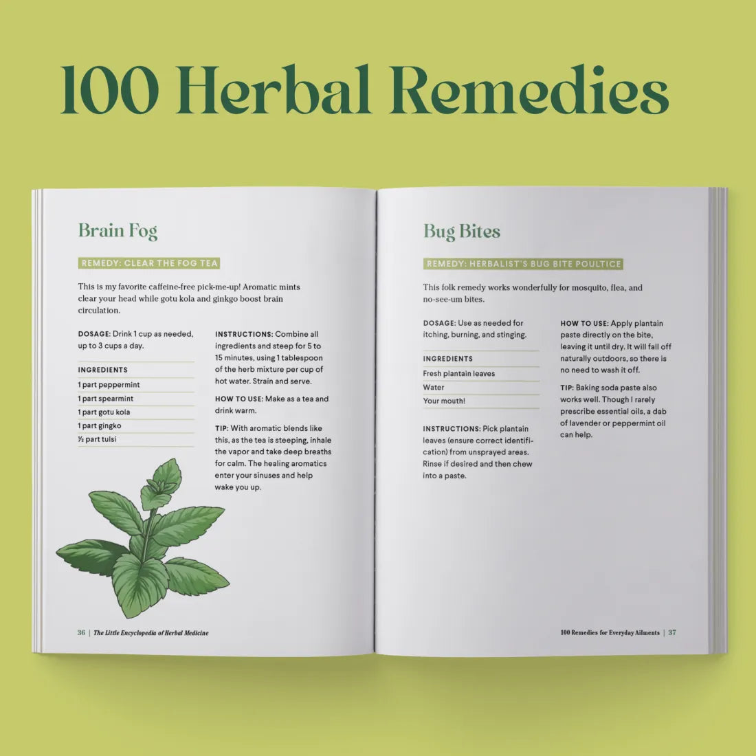 The Little Encyclopedia of Herbal Medicine US - Paperback / softback