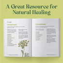 The Little Encyclopedia of Herbal Medicine US - Paperback / softback