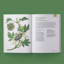 The Little Encyclopedia of Herbal Medicine US - Paperback / softback