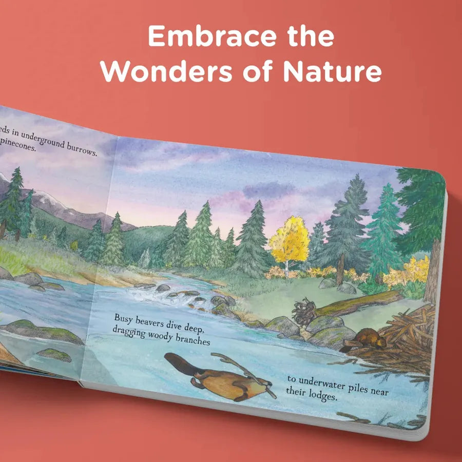 When Fall Comes US - Board book