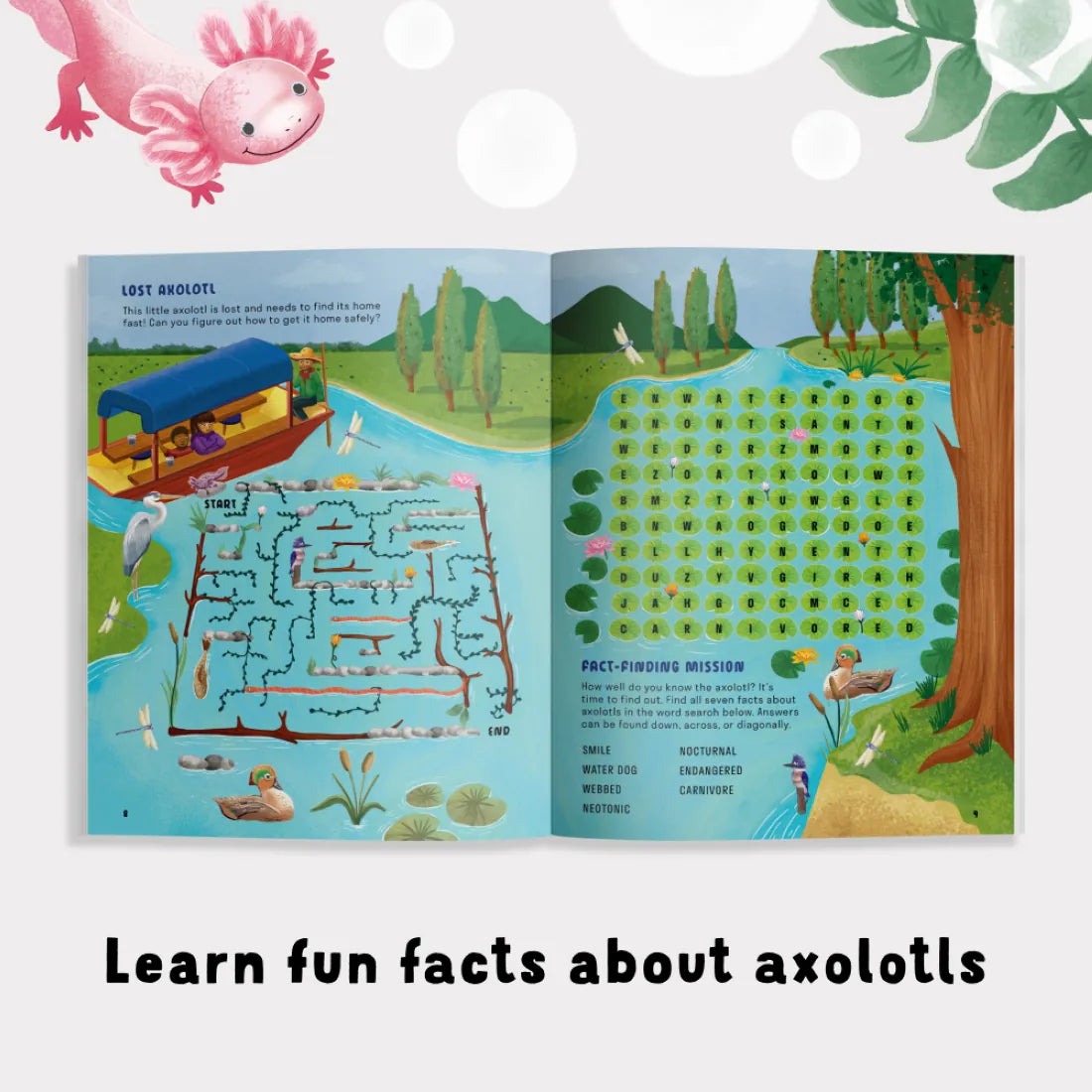 Amazing Axolotls US - Paperback / softback