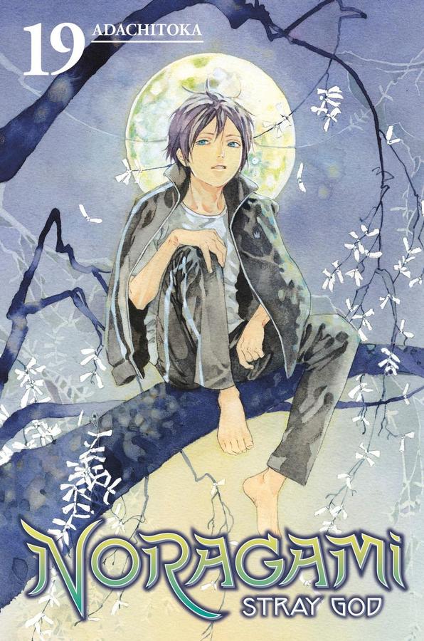 Noragami: Stray God 19-Manga and East Asian style / tradition comic books-買書書 BuyBookBook