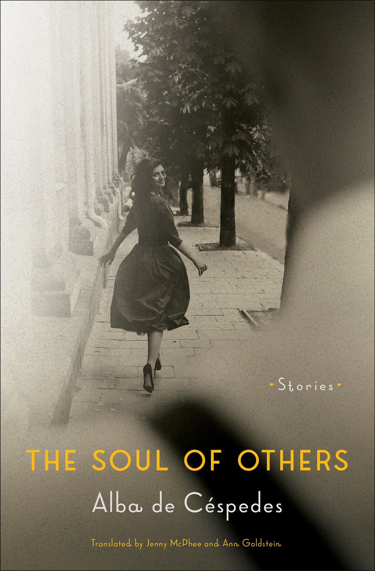 The Soul of Others cover (ISBN 9781635426014)