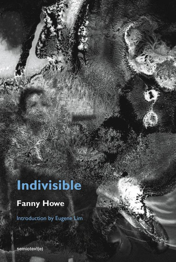 Indivisible, new edition-Fiction: general and literary-買書書 BuyBookBook