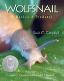 Wolfsnail-Children’s / Teenage general interest: Nature and animals-買書書 BuyBookBook