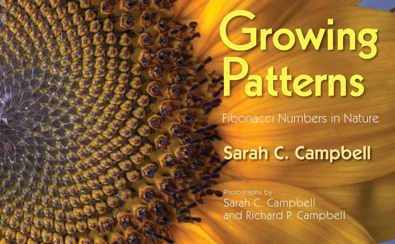 Growing Patterns-Children’s Early years / early learning concepts-買書書 BuyBookBook