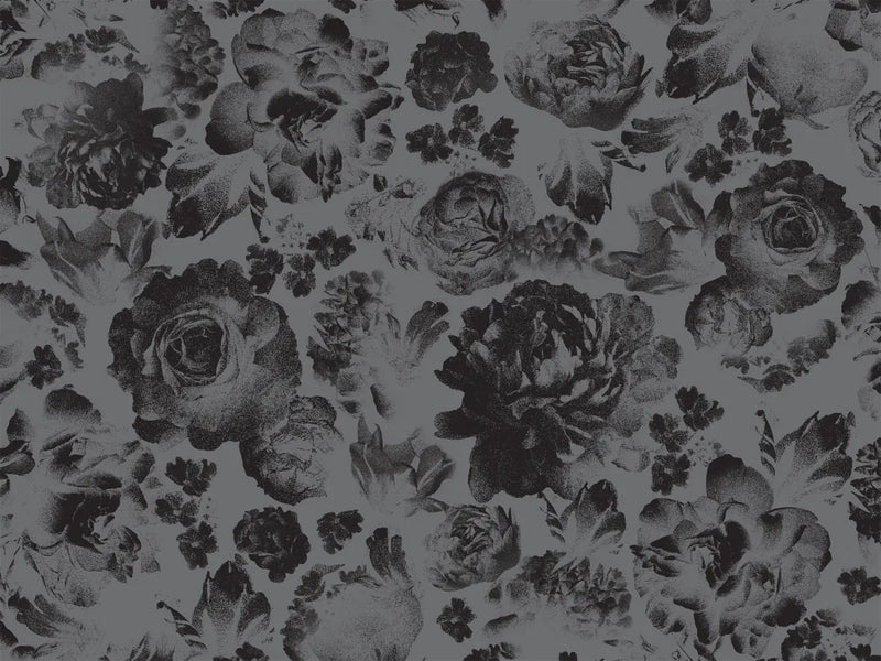 Lights Out Collector's Edition US - Hardback