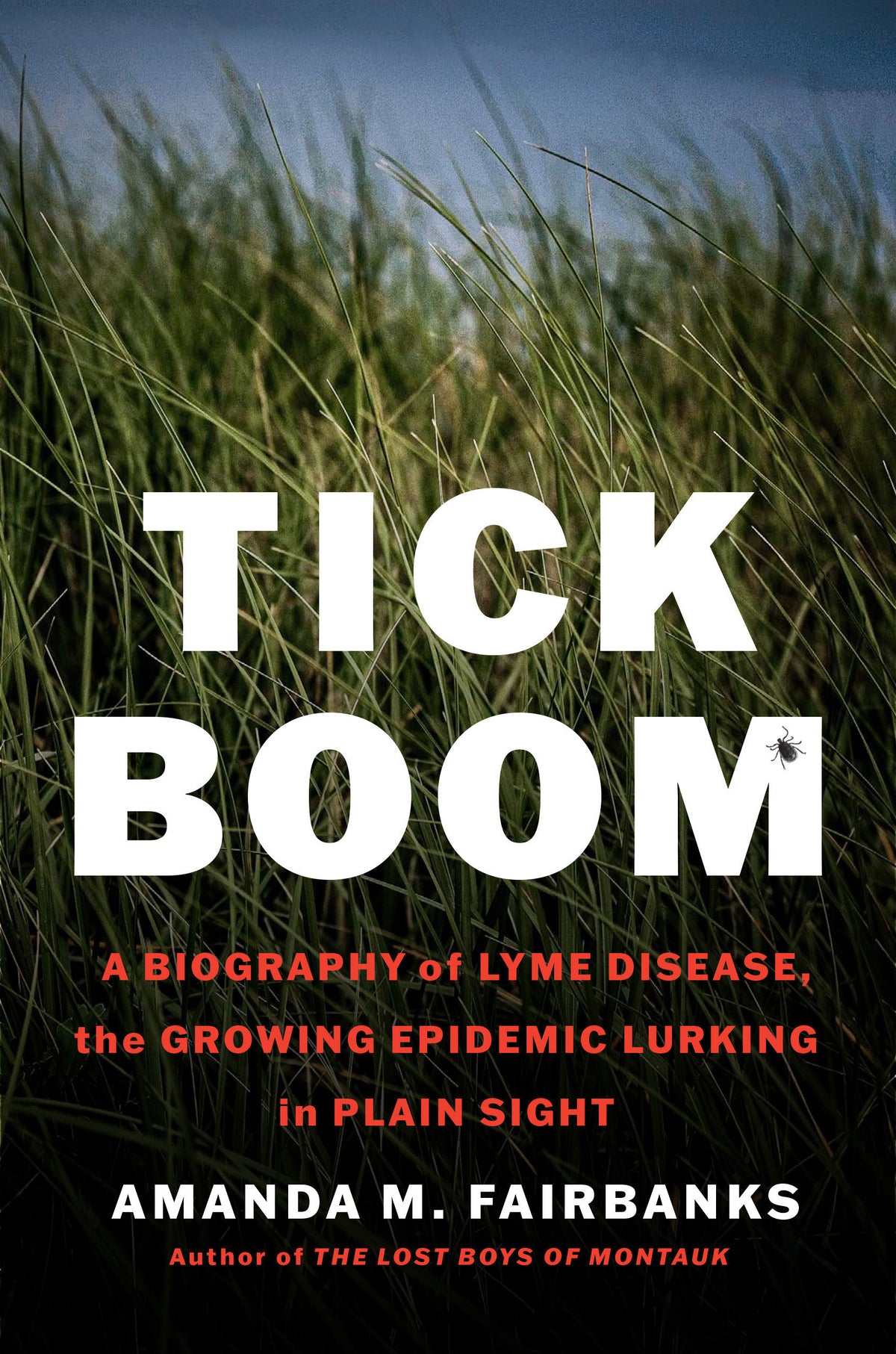 Tick Boom cover (ISBN 9781638934110)