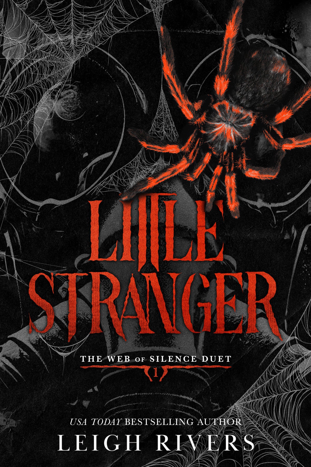 Little Stranger cover (ISBN 9781638936459)