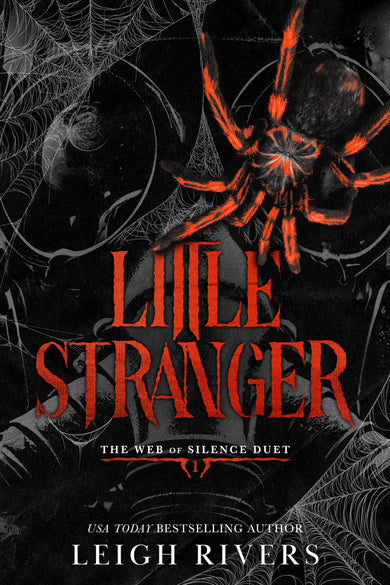 Little Stranger cover (ISBN 9781638936459)