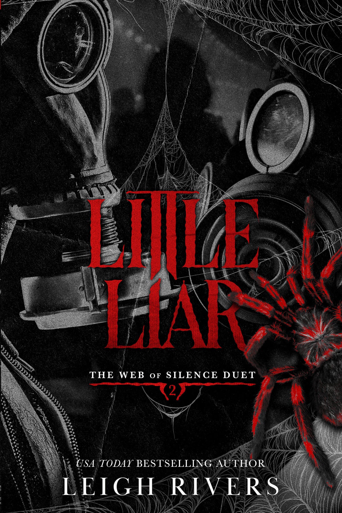 Little Liar cover (ISBN 9781638936466)