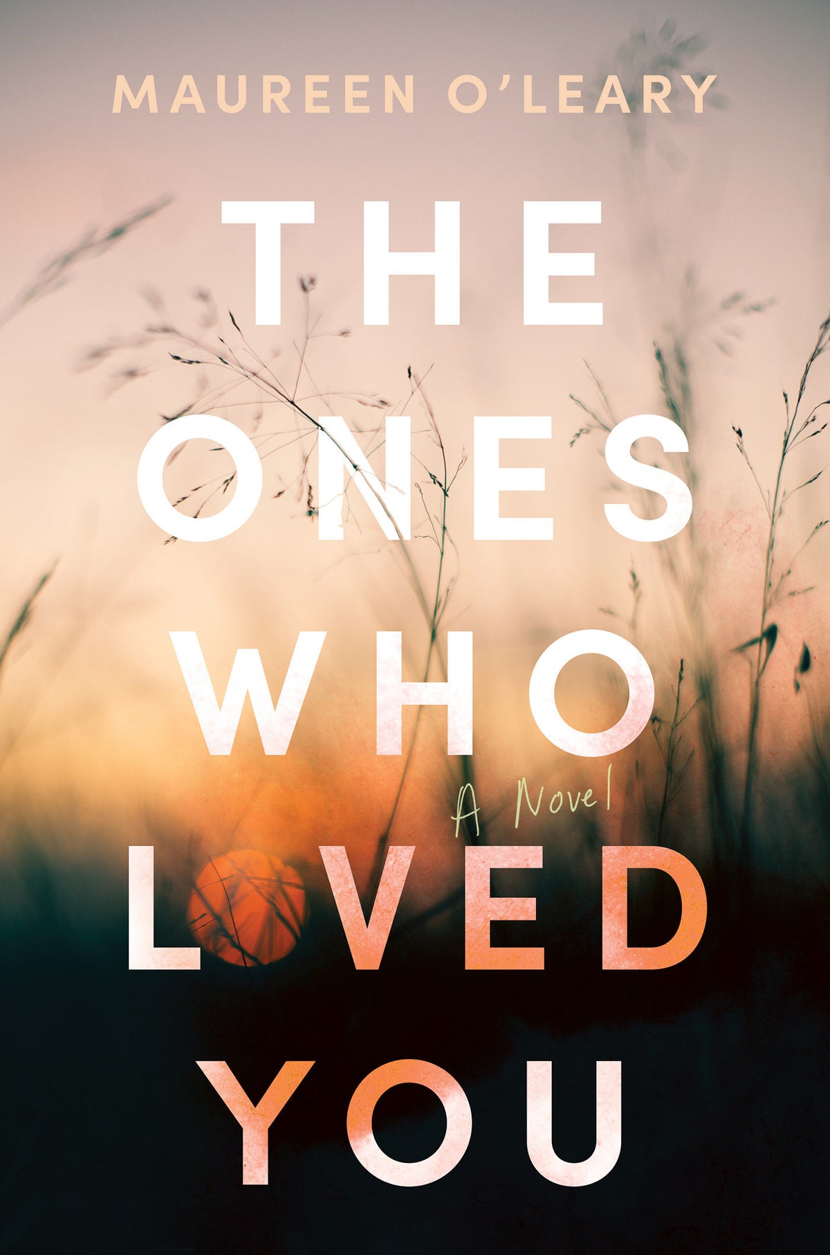 The Ones Who Loved You cover (ISBN 9781640097940)