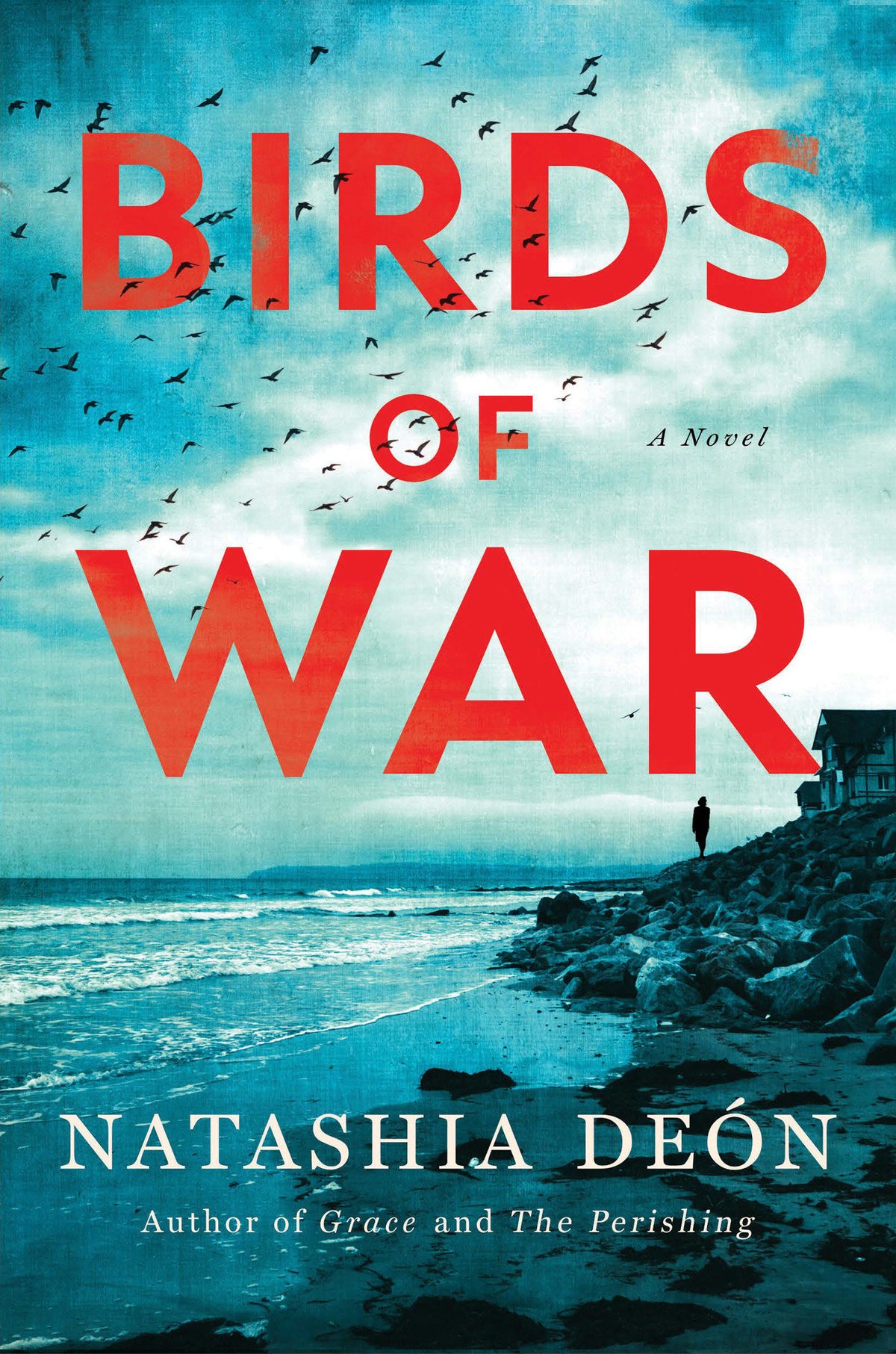 Birds of War cover (ISBN 9781640098190)