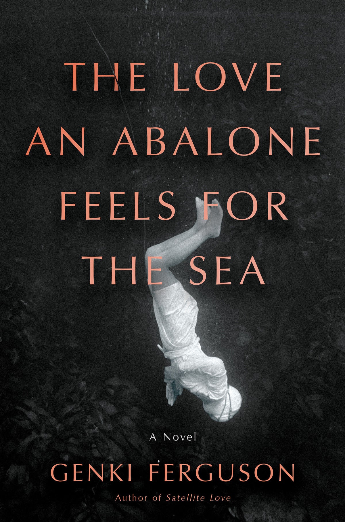 The Love an Abalone Feels For the Sea cover (ISBN 9781640098237)