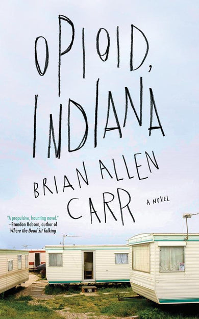Opioid, Indiana-Fiction: general and literary-買書書 BuyBookBook