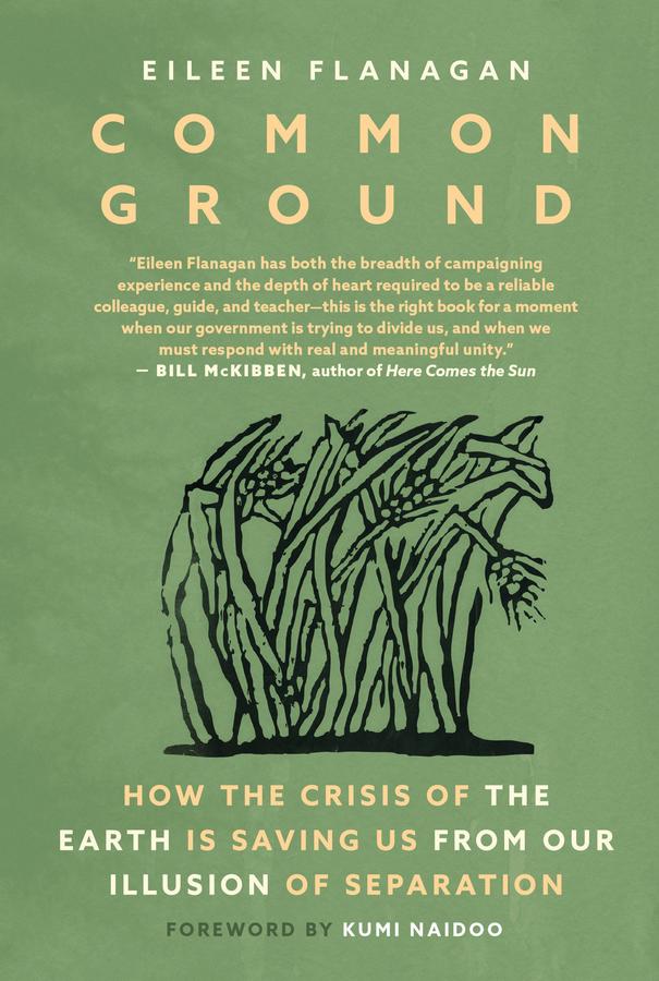 Common Ground