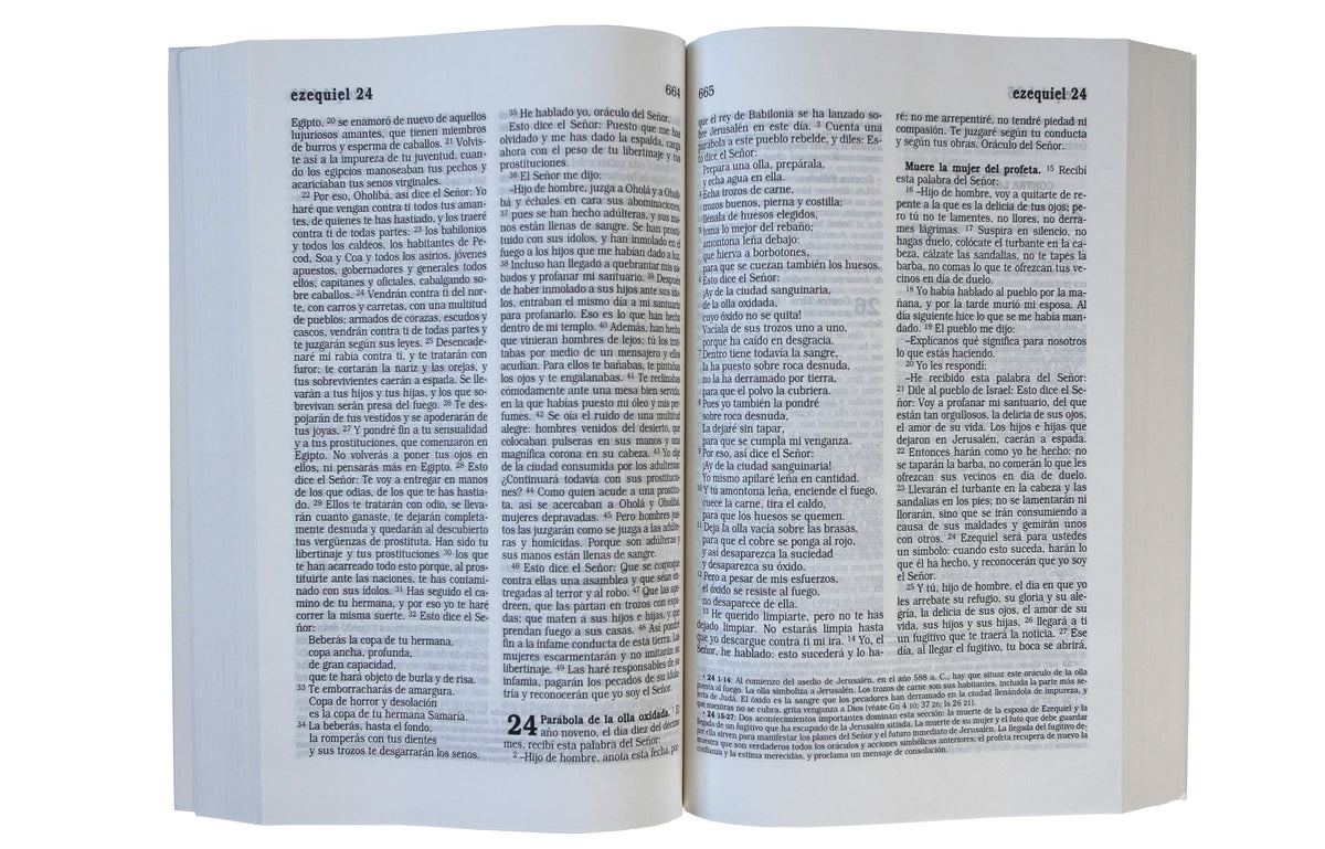 La Biblia Católica: Tapa blanda, tamaño grande, letra grande. Rústica, roja / Catholic Bible interior 1 (ISBN 9781644730133)