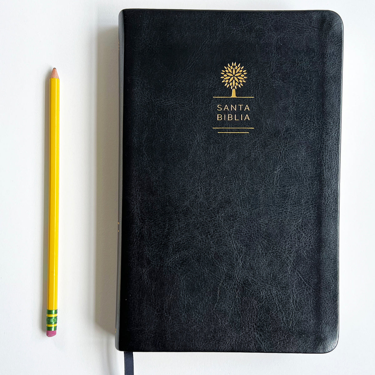 Biblia Reina Valera 1960 letra grande. Símil piel color negro, tamaño manual / Spanish Holy Bible RVR 1960. Handy Size, Large Print, Black Leathersoft interior 2 (ISBN 9781644730997)