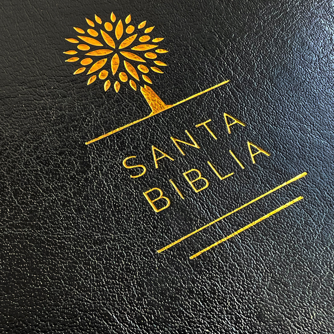 Biblia Reina Valera 1960 letra grande. Símil piel color negro, tamaño manual / Spanish Holy Bible RVR 1960. Handy Size, Large Print, Black Leathersoft interior 3 (ISBN 9781644730997)