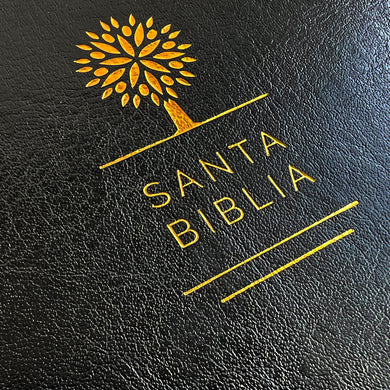 Biblia Reina Valera 1960 letra grande. Símil piel color negro, tamaño manual / Spanish Holy Bible RVR 1960. Handy Size, Large Print, Black Leathersoft interior 3 (ISBN 9781644730997)