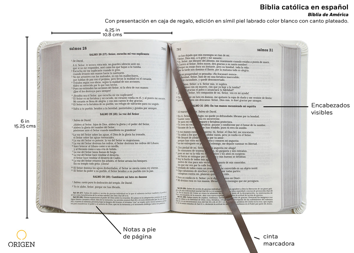 Biblia Católica en español. Boda, bautizo, primera comunión, confirmación y cumpleaños. Caja blanca regalo / Catholic Bible. Spanish-Language, Leathersoft, interior 2 (ISBN 9781644731635)