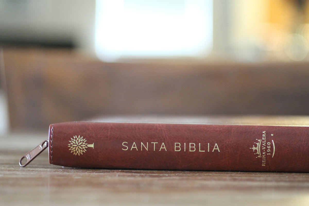 Biblia Reina Valera 1960 letra grande. Símil piel canela, cremallera, tamaño manual / Spanish Bible RVR 1960. Handy Size, Large Print, Leathersoft, Brown Zip interior 2 (ISBN 9781644732175)
