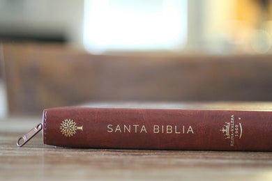 Biblia Reina Valera 1960 letra grande. Símil piel canela, cremallera, tamaño manual / Spanish Bible RVR 1960. Handy Size, Large Print, Leathersoft, Brown Zip interior 2 (ISBN 9781644732175)
