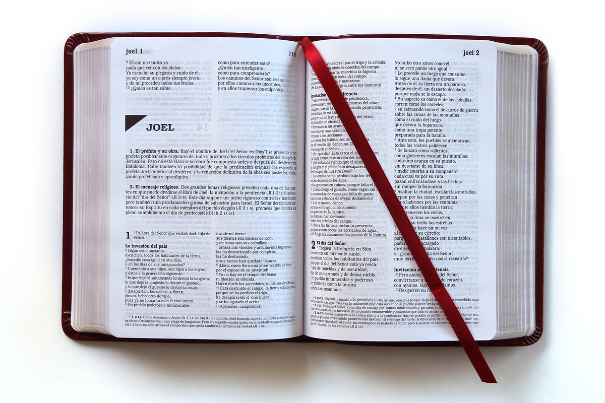 Biblia Católica en español. Símil piel vinotinto, tamaño compacto / Catholic Bible. Spanish-Language, Leathersoft, Wine, Compact interior 1 (ISBN 9781644733011)