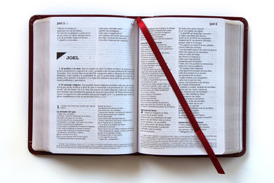 Biblia Católica en español. Símil piel vinotinto, tamaño compacto / Catholic Bible. Spanish-Language, Leathersoft, Wine, Compact interior 1 (ISBN 9781644733011)