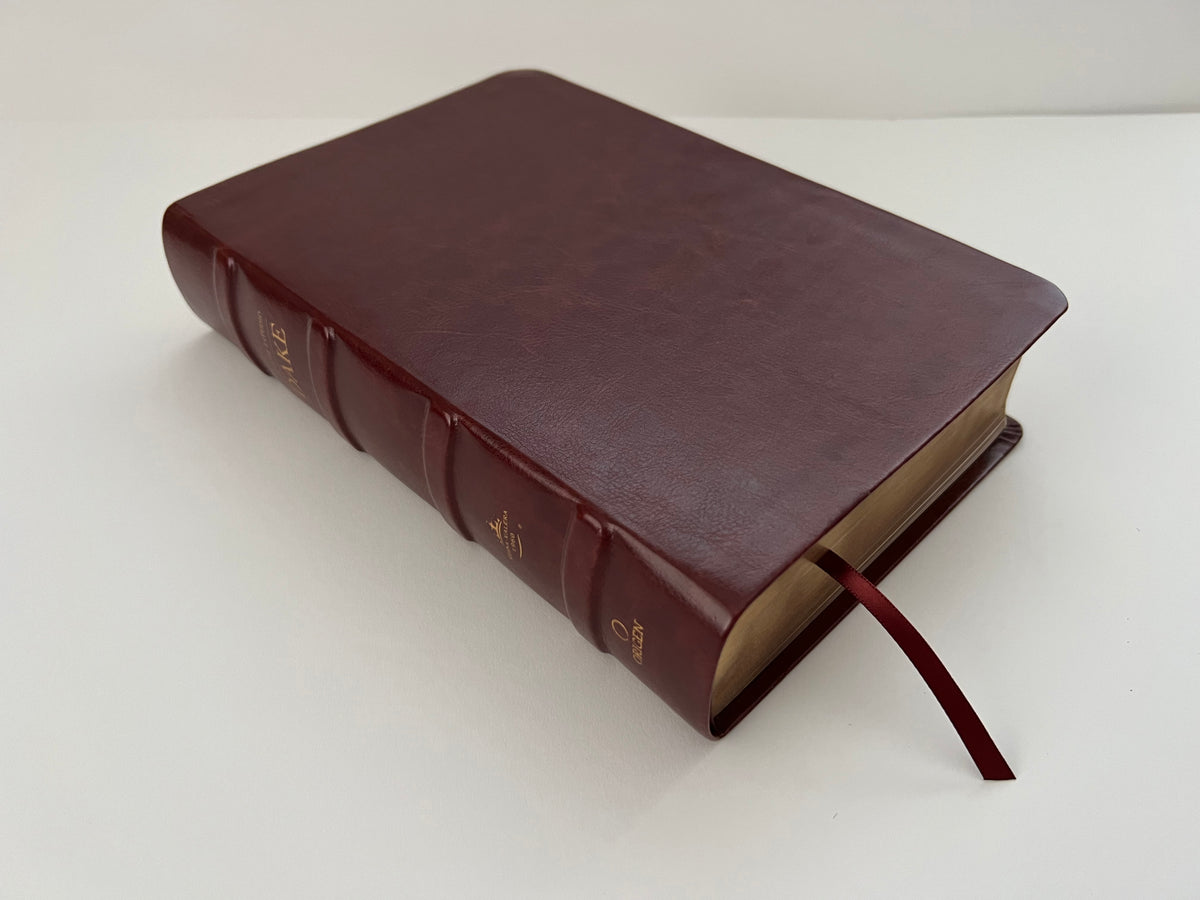 RVR 1960 Biblia de estudio Dake, tamaño grande, piel marrón / Spanish RVR 1960 Dake Study Bible, Large Size, Brown Leather interior 2 (ISBN 9781644733660)