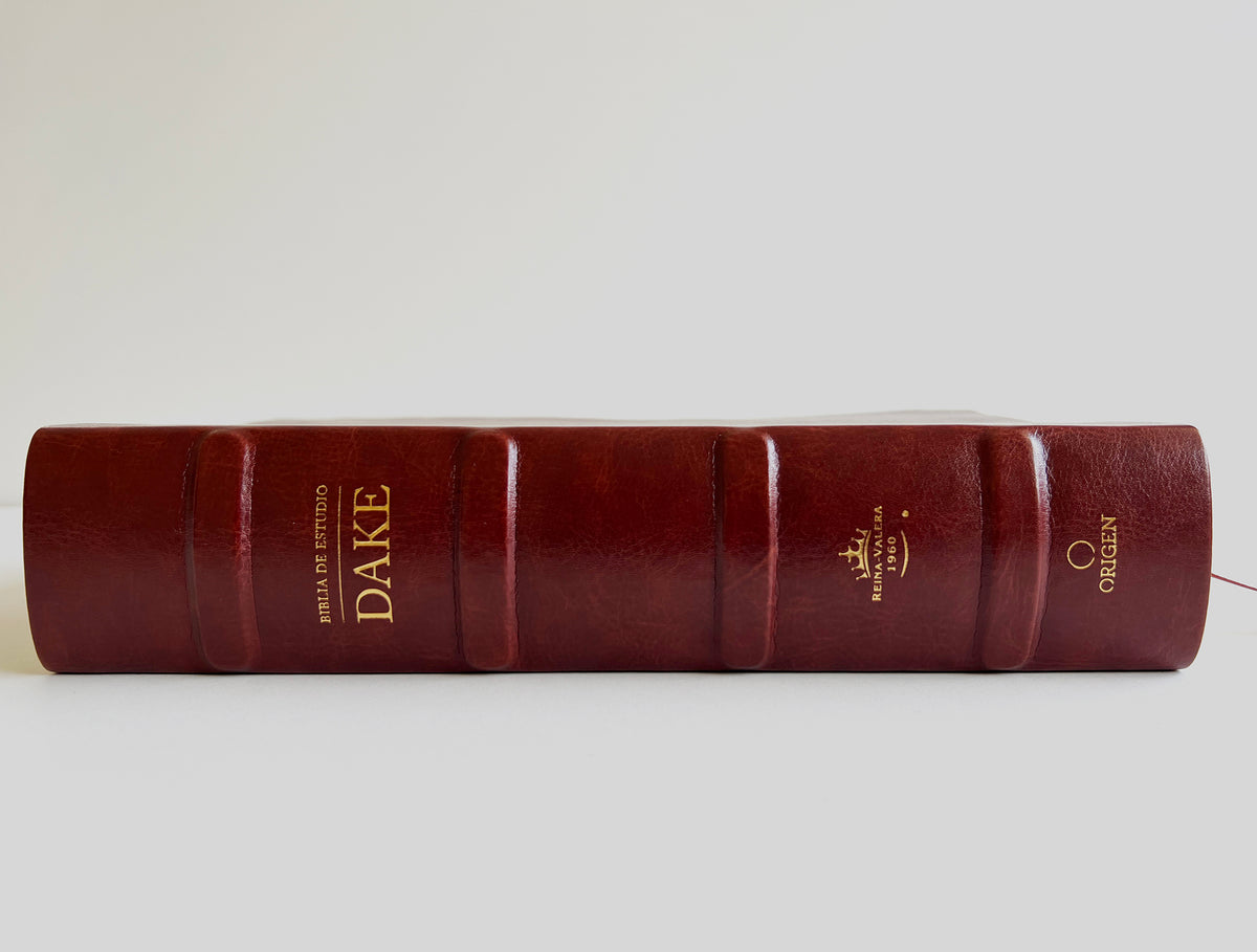 RVR 1960 Biblia de estudio Dake, tamaño grande, piel marrón / Spanish RVR 1960 Dake Study Bible, Large Size, Brown Leather interior 1 (ISBN 9781644733660)