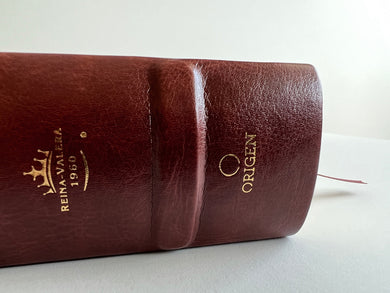 RVR 1960 Biblia de estudio Dake, tamaño grande, piel marrón / Spanish RVR 1960 Dake Study Bible, Large Size, Brown Leather interior 4 (ISBN 9781644733660)